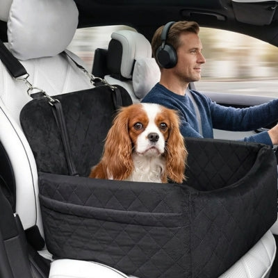 Cavalier King Charles dans un siege auto chiens noir matelassé, conducteur avec casque.