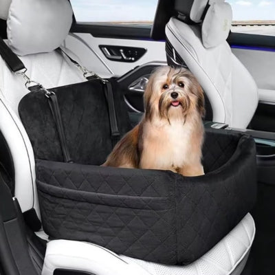 Chien Havanais assis dans un siege auto chiens noir matelassé sur un siège de voiture blanc.