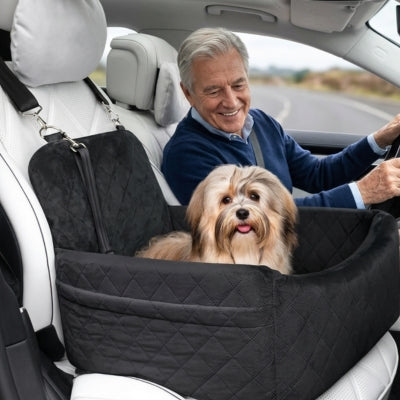 Petit chien havanais dans son siege auto chiens noir, homme âgé souriant au volant.