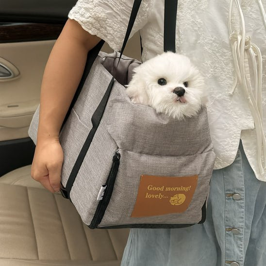 Bichon blanc porté à l'épaule dans son siege auto chiens gris, écusson "Good morning! lovely...".