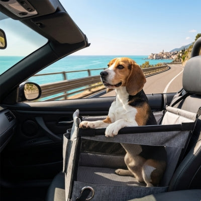Chien Beagle dans un siege auto pour chien gris sur la route longeant la mer.