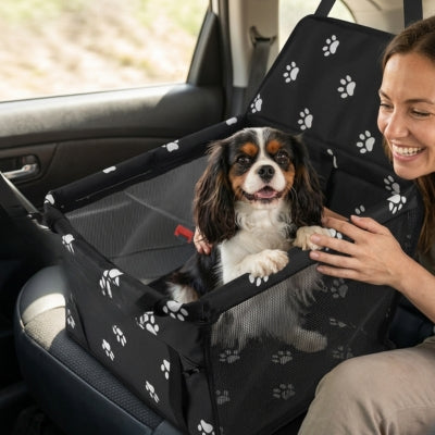 Cavalier King Charles dans un siege auto pour chien avec parois en filet respirant.