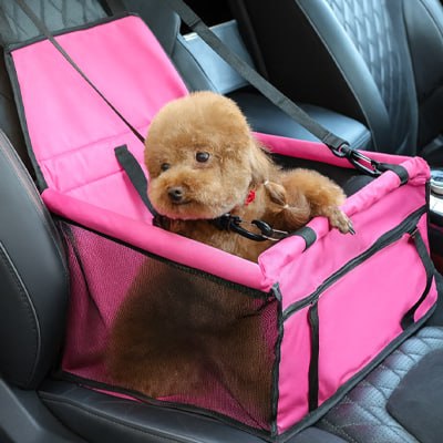 Petit caniche marron couché dans son siege auto pour chien rose vif en voiture.