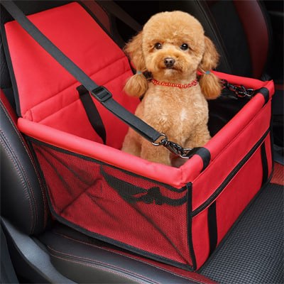 Caniche marron avec collier rouge dans un siege auto pour chien rouge face à l'objectif.