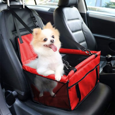 Loulou de Poméranie blanc dans un siege auto pour chien rouge sur le siège passager.
