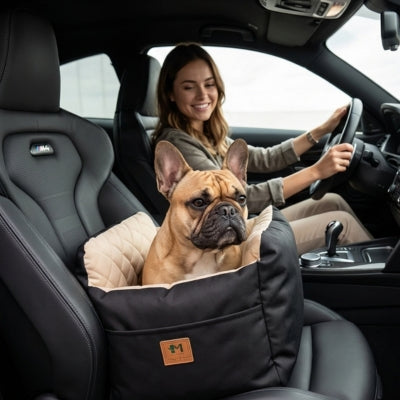 Bouledogue français dans son siege auto pour chiens noir dans une voiture de sport.