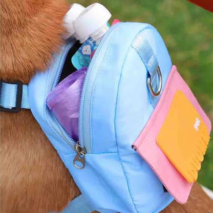 Sac à dos pour chien-PetBackpack™ : Ce Welsh Corgi transporte dans son sac à dos pour chien de couleur bleu les éléments nécessaire pour la promenade