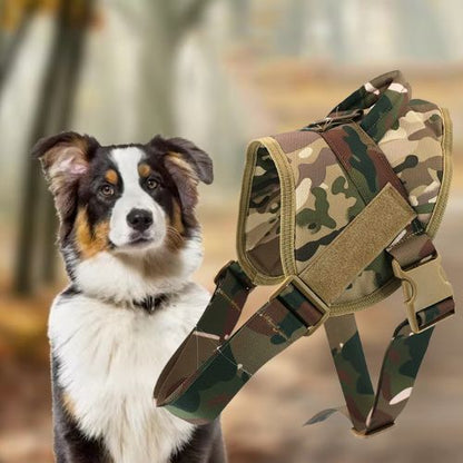 Harnais anti traction chien-CombatHarn™ : Gilet réglable pour chiens de taille moyenne et grande
