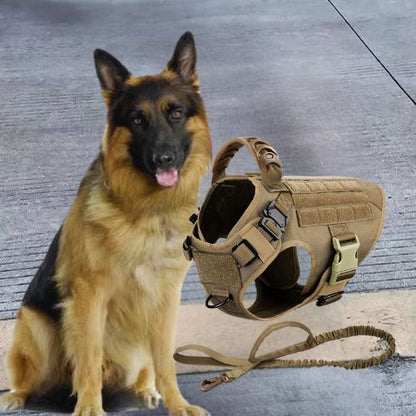 Harnais pour chien : Ce berger allemand est présenter avec un harnais conçu avec un tissus en nylon imperméable 1050D