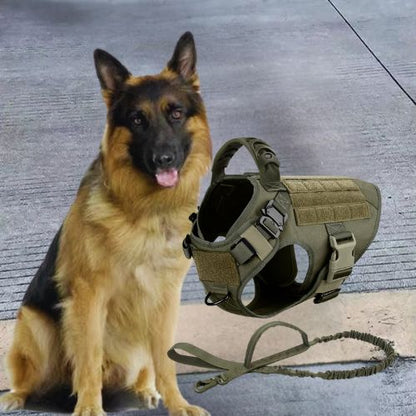 Harnais pour chien : Ce berger allemand est présenter avec un harnais conçu avec un tissus en nylon imperméable 1050D