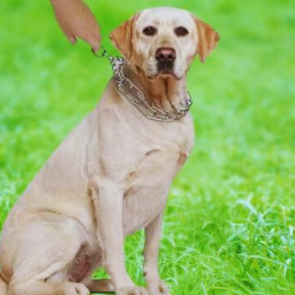 Collier de dressage chien-SteelClaw™ : Le propriétaire à le contrôle de son molosse grâce à ce collier de dressage chien à griffe en acier inoxydable chromée.