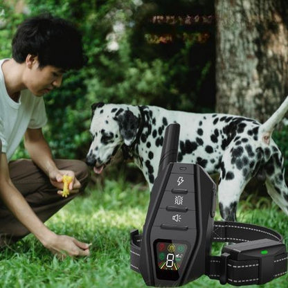 Collier pour dressage de chien-TrainSmart™ : Ce jeune homme dresse son dogue allemand avec un collier pour dressage de chien