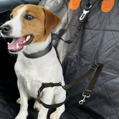 Laisse de chien-BeltBliss™ : Ce chien assis sur la banquette arrière heureux avec sa laisse en nylon de couleur noir accroché aux appui-tête du siège qui fait aussi office de ceinture de sécurité