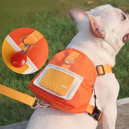 Sac à dos pour chien-PetBackpack™ : Ce bouledogue français porte un porte un sac à dos pour chien de couleur orange accroché par une laisse assortie