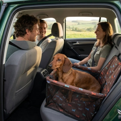 Un Teckel dans son siege auto pour chien à l'arrière d'une voiture avec trois passagers.