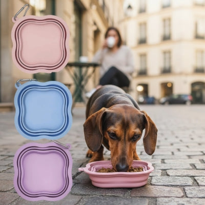 Teckel mangeant dans une gamelle pour chien rose avec modèles bleu et violet en médaillon.