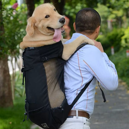 Golden Retriever transporté dans un sac a dos chien noir par un homme en chemise bleue.