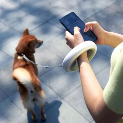 Une laisse de chien anneau blanc au poignet d'une personne utilisant un téléphone avec un Shiba.