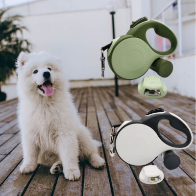 Une laisse de chien rétractable en vert et blanc présentée avec un jeune Samoyède assis.