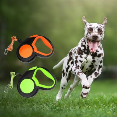 Chien Dalmatien qui court et deux modèles de une laisse de chien rétractable orange et verte.