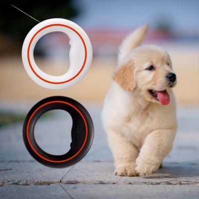Une laisse de chien circulaire en noir et blanc à côté d'un chiot Golden Retriever.