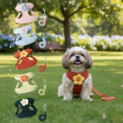 Gamme de 5 coloris et tailles pour le harnais anti traction chien avec un Shih Tzu au centre.