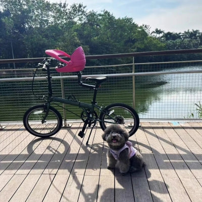 Caniche gris assis à côté d'un vélo pliant noir avec un panier rose sur un pont.