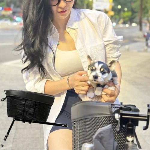 Femme tenant un chiot husky devant un vélo panier chien noir, en milieu urbain.