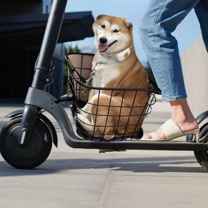 Gros plan d'un Shiba Inu assis dans un vélo panier chien fixé sur une trottinette noire.