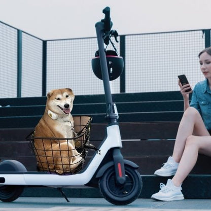 Shiba Inu en vélo panier chien sur trottinette blanche devant une femme assise sur des marches.