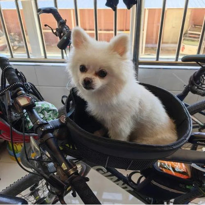 Spitz nain blanc assis dans son vélo panier chien sur un VTT Giant, avec un compteur de vitesse.