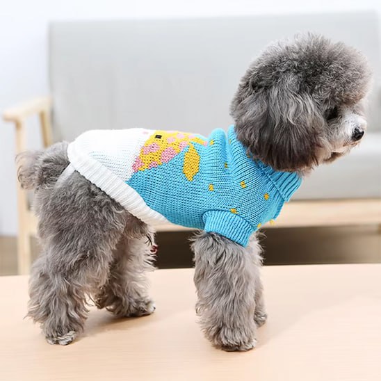 Caniche gris debout portant un vetement chien bleu et blanc avec une illustration de girafe.