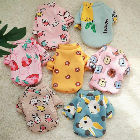 Assortiment de six modèles de vêtement chien aux motifs variés posés à plat.