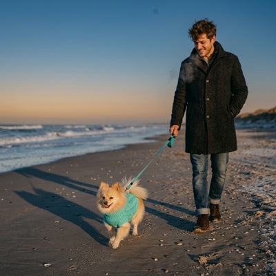 Spitz avec vetement chien bleu turquoise, marchant sur la plage avec son maître.