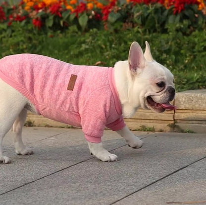 Bouledogue français en vetement pour chien rose , étiquette CLASSIC.