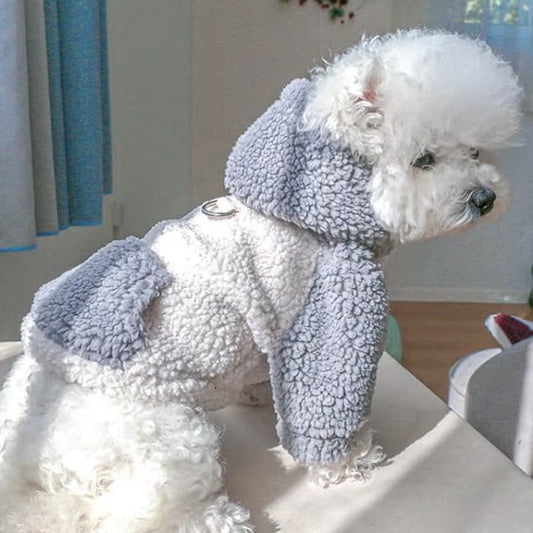 Bichon vu de dos portant un vêtement pour chien en sherpa gris avec attache.