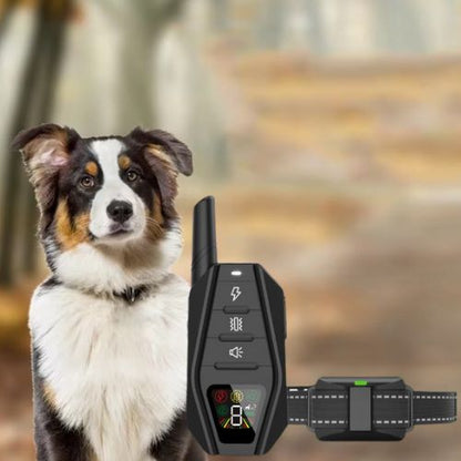 Collier pour dressage de chien-TrainSmart™ :