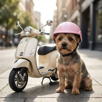 Chien Yorkshire portant un casque moto chien rose assis à côté d'un scooter en ville.